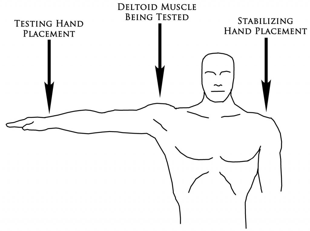 Muscle Testing – Doctor Chris Palmer